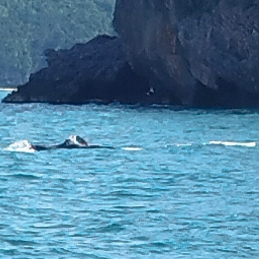 Koh_Samui_AngTong_2