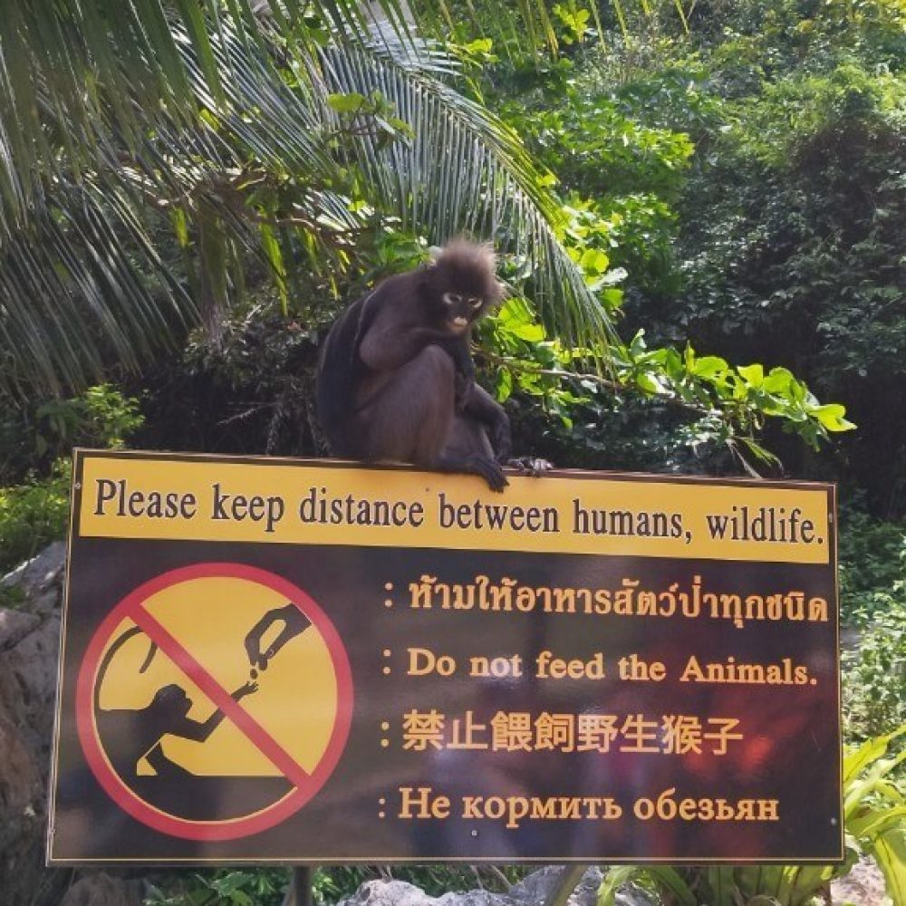 Koh_Samui_AngTong_23