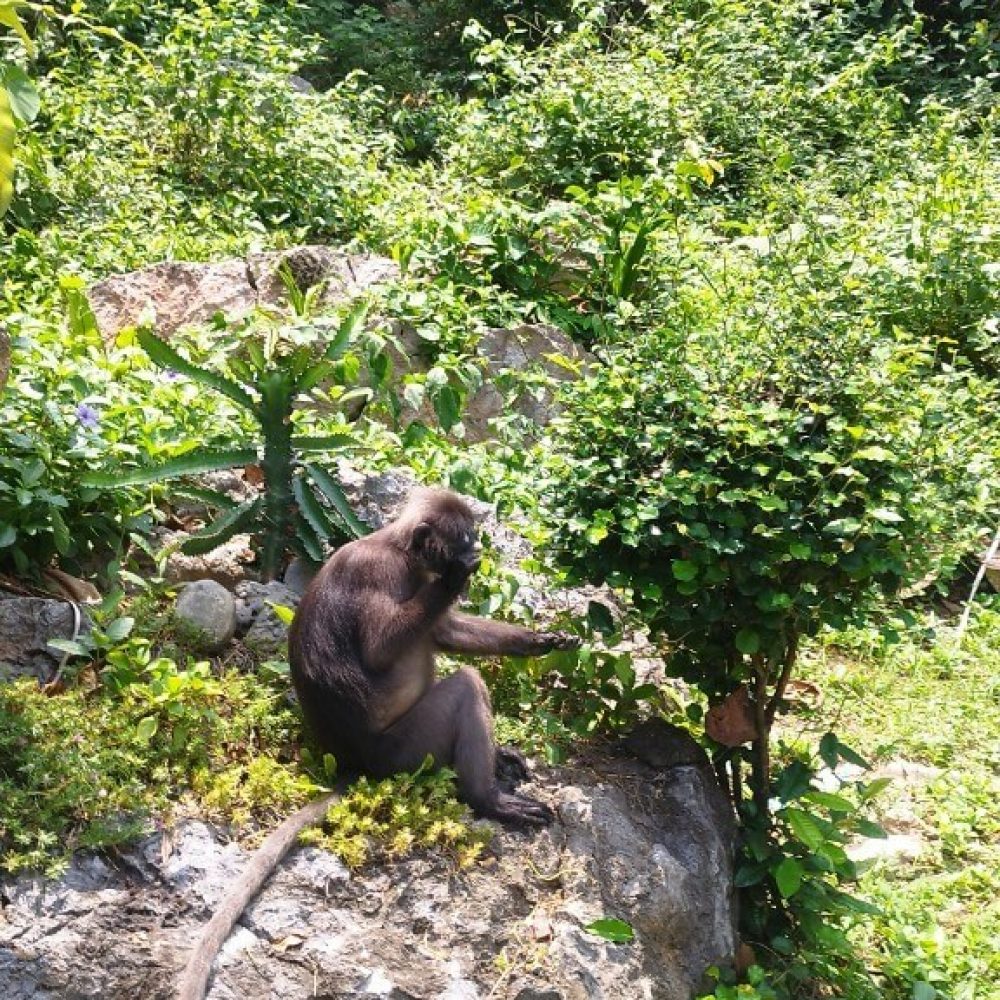 Koh_Samui_AngTong_24