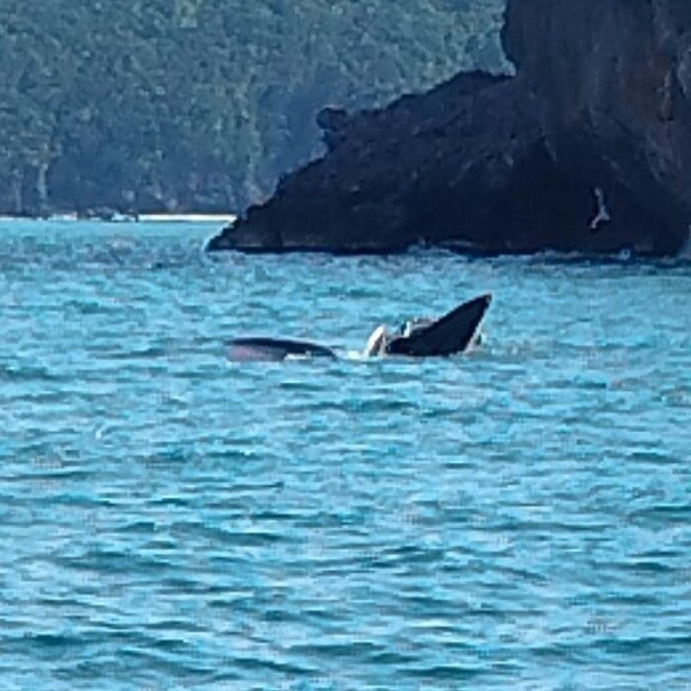 Koh_Samui_AngTong_4