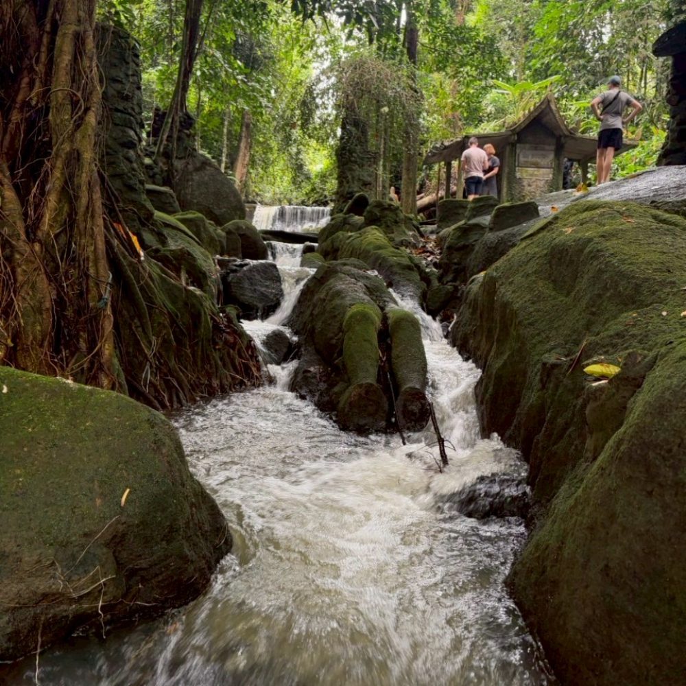 Samui_ATVTour_5