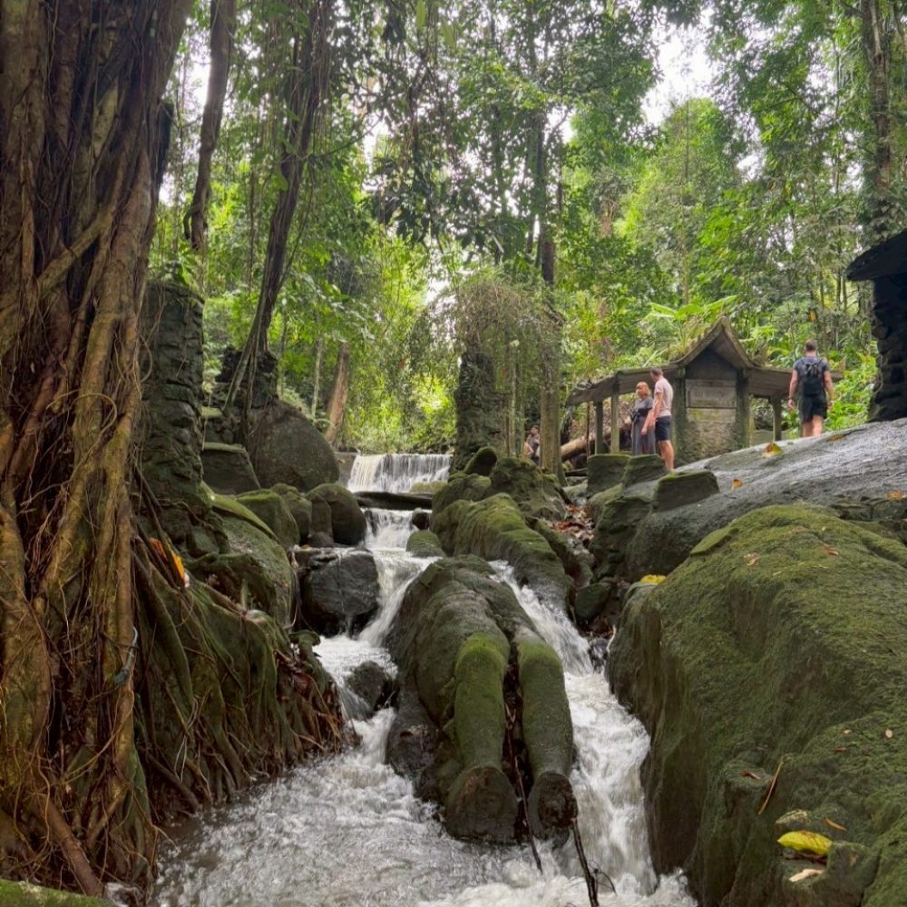 Samui_ATVTour_4