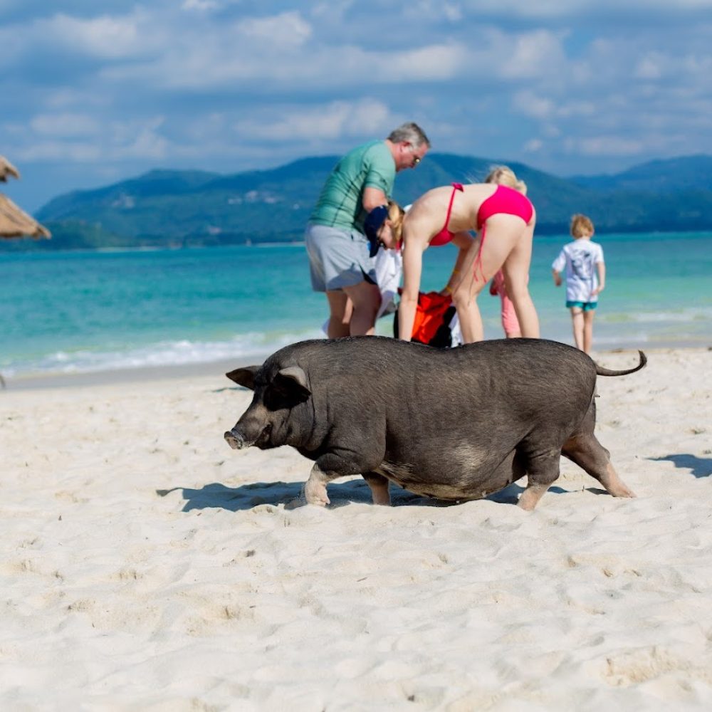 Samui_EasyTrip_4